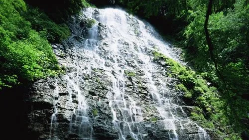稳定性高标准科技